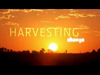 < BEFORE: Harvesting change