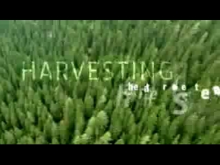 Havesting healthier forests