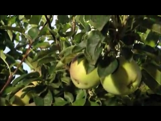 < BEFORE: Obst und Weinbau Traktoren von John Deere